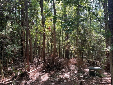 Build your dream home on this prime corner lot in Rayburn on Rayburn Country Club in Texas - for sale on GolfHomes.com, golf home, golf lot