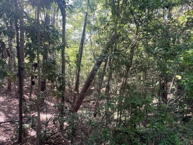 Build your dream home on this prime corner lot in Rayburn on Rayburn Country Club in Texas - for sale on GolfHomes.com, golf home, golf lot