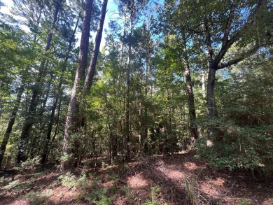Build your dream home on this prime corner lot in Rayburn on Rayburn Country Club in Texas - for sale on GolfHomes.com, golf home, golf lot