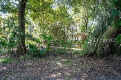 Bring your dream home to life on this 0.31-acre marsh front on The Sanctuary Golf Club At Cat Island in South Carolina - for sale on GolfHomes.com, golf home, golf lot