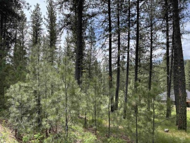 Discover this beautiful west-facing, timbered lot nestled in the on Meadowcreek Golf Resort in Idaho - for sale on GolfHomes.com, golf home, golf lot