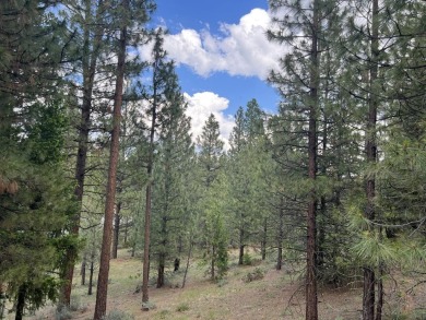 WATCH THE SKY CHANGE COLORS IN FRONT OF YOUR EYES from your on Nakoma Golf Resort in California - for sale on GolfHomes.com, golf home, golf lot