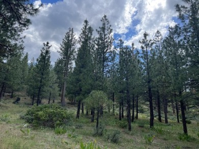 WATCH THE SKY CHANGE COLORS IN FRONT OF YOUR EYES from your on Nakoma Golf Resort in California - for sale on GolfHomes.com, golf home, golf lot