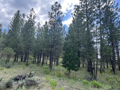 WATCH THE SKY CHANGE COLORS IN FRONT OF YOUR EYES from your on Nakoma Golf Resort in California - for sale on GolfHomes.com, golf home, golf lot