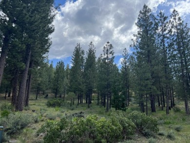 WATCH THE SKY CHANGE COLORS IN FRONT OF YOUR EYES from your on Nakoma Golf Resort in California - for sale on GolfHomes.com, golf home, golf lot