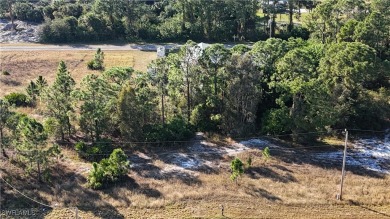 Looking to build your next dream new construction home near on Mirror Lakes Golf Club in Florida - for sale on GolfHomes.com, golf home, golf lot