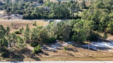 Looking to build your next dream new construction home near on Mirror Lakes Golf Club in Florida - for sale on GolfHomes.com, golf home, golf lot