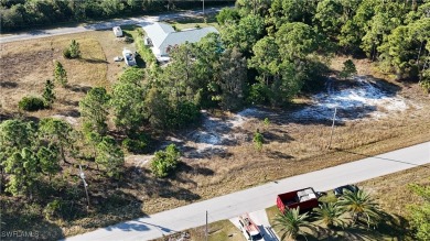 Looking to build your next dream new construction home near on Mirror Lakes Golf Club in Florida - for sale on GolfHomes.com, golf home, golf lot