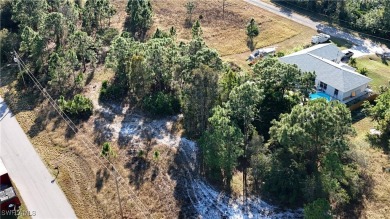 Looking to build your next dream new construction home near on Mirror Lakes Golf Club in Florida - for sale on GolfHomes.com, golf home, golf lot
