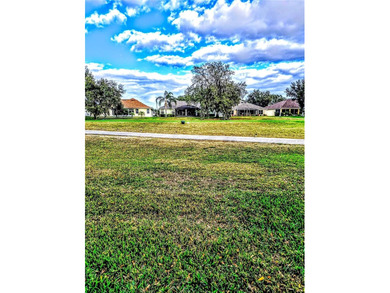 Exceptional view from one of the top lots in the entire on Arlington Ridge Golf Club in Florida - for sale on GolfHomes.com, golf home, golf lot