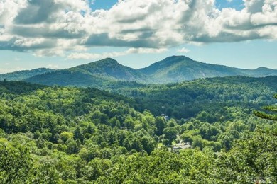 Welcome to this beautiful 5 bedroom, 6.5 bath home (including a on Mountaintop Golf and Lake Club in North Carolina - for sale on GolfHomes.com, golf home, golf lot