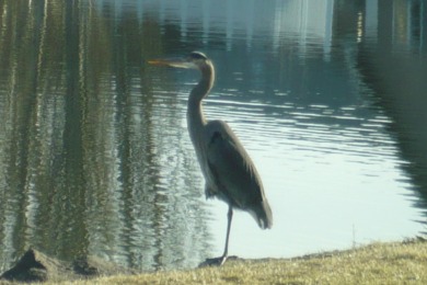 Fabulous waterfront home back on the market through no fault of on Harbor Links Golf Course in Oregon - for sale on GolfHomes.com, golf home, golf lot