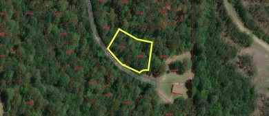 Discover the perfect opportunity to own two adjoining lots on on Rayburn Country Club in Texas - for sale on GolfHomes.com, golf home, golf lot