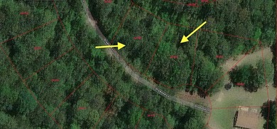 Discover the perfect opportunity to own two adjoining lots on on Rayburn Country Club in Texas - for sale on GolfHomes.com, golf home, golf lot