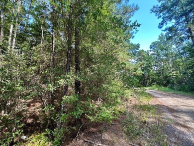 Discover the perfect opportunity to own two adjoining lots on on Rayburn Country Club in Texas - for sale on GolfHomes.com, golf home, golf lot