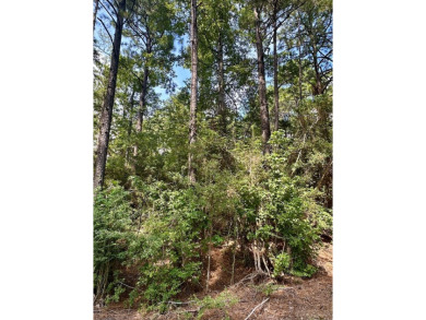 Discover the perfect opportunity to own two adjoining lots on on Rayburn Country Club in Texas - for sale on GolfHomes.com, golf home, golf lot