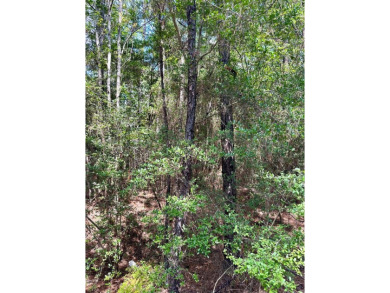 Discover the perfect opportunity to own two adjoining lots on on Rayburn Country Club in Texas - for sale on GolfHomes.com, golf home, golf lot