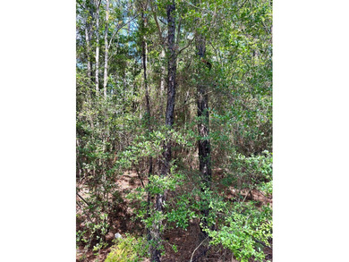 Discover the perfect opportunity to own two adjoining lots on on Rayburn Country Club in Texas - for sale on GolfHomes.com, golf home, golf lot