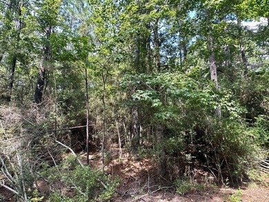 Discover the perfect opportunity to own two adjoining lots on on Rayburn Country Club in Texas - for sale on GolfHomes.com, golf home, golf lot