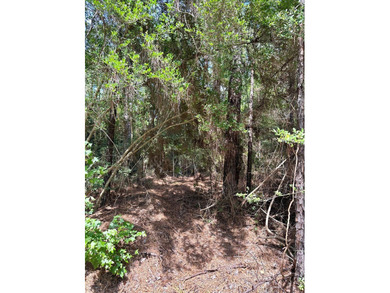 Discover the perfect opportunity to own two adjoining lots on on Rayburn Country Club in Texas - for sale on GolfHomes.com, golf home, golf lot