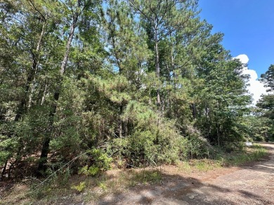 Discover the perfect opportunity to own two adjoining lots on on Rayburn Country Club in Texas - for sale on GolfHomes.com, golf home, golf lot