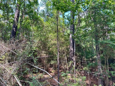 Discover the perfect opportunity to own two adjoining lots on on Rayburn Country Club in Texas - for sale on GolfHomes.com, golf home, golf lot