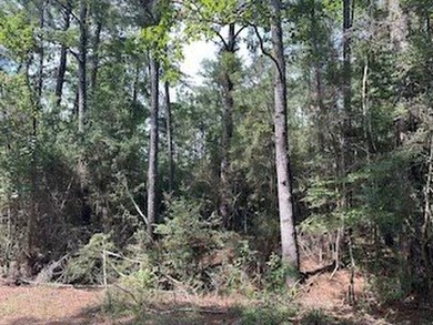 Discover the perfect opportunity to own two adjoining lots on on Rayburn Country Club in Texas - for sale on GolfHomes.com, golf home, golf lot