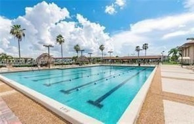 BEAUTIFUL LAKE VEW CONDO, RECENTHY PAINTED 1 BEDROOM 1 1/2 BATH on Flamingo Lakes Country Club in Florida - for sale on GolfHomes.com, golf home, golf lot