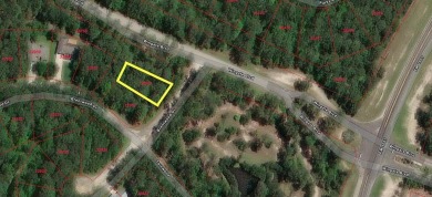 Seize the opportunity to own a pristine 0.2-acre lot on on Rayburn Country Club in Texas - for sale on GolfHomes.com, golf home, golf lot