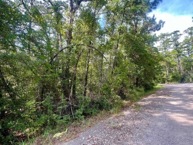 Seize the opportunity to own a pristine 0.2-acre lot on on Rayburn Country Club in Texas - for sale on GolfHomes.com, golf home, golf lot