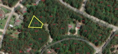 Nestled in the vibrant Rayburn Country, this 0.22-acre lot on on Rayburn Country Club in Texas - for sale on GolfHomes.com, golf home, golf lot