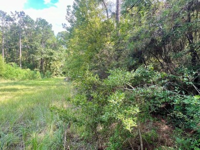 Nestled in the vibrant Rayburn Country, this 0.22-acre lot on on Rayburn Country Club in Texas - for sale on GolfHomes.com, golf home, golf lot