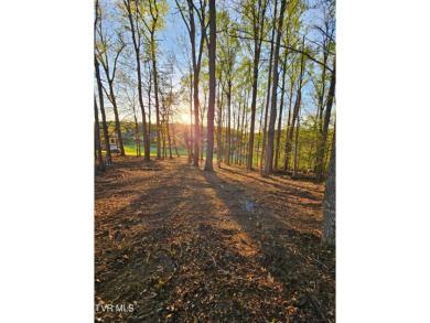Prime 1.85-acre lot located in the desirable Garland Farm on Ridges Golf and Country Club in Tennessee - for sale on GolfHomes.com, golf home, golf lot
