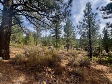 WOW, ALMOST TWO AND HALF ACRES...away from the hustle but yet on Nakoma Golf Resort in California - for sale on GolfHomes.com, golf home, golf lot