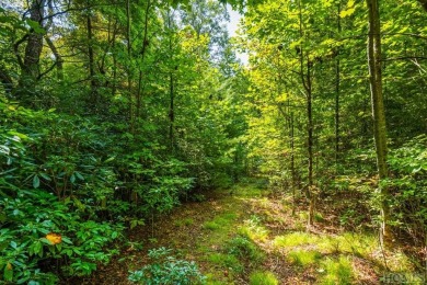 Build your dream home on the golf course with this 2.31 acre lot on Lake Toxaway Country Club in North Carolina - for sale on GolfHomes.com, golf home, golf lot