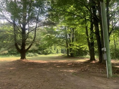 Generations have embraced the up-north lifestyle in this on Lakes of the North Deer Run Golf Course in Michigan - for sale on GolfHomes.com, golf home, golf lot