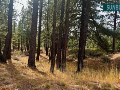 WOW, ALMOST TWO AND HALF ACRES...away from the hustle but yet on Nakoma Golf Resort in California - for sale on GolfHomes.com, golf home, golf lot