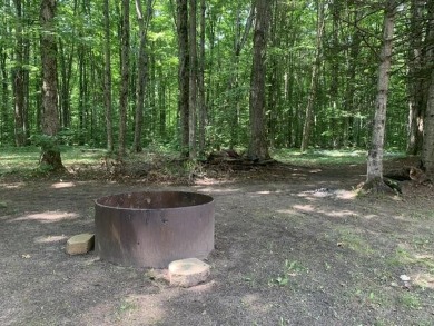 Generations have embraced the up-north lifestyle in this on Lakes of the North Deer Run Golf Course in Michigan - for sale on GolfHomes.com, golf home, golf lot