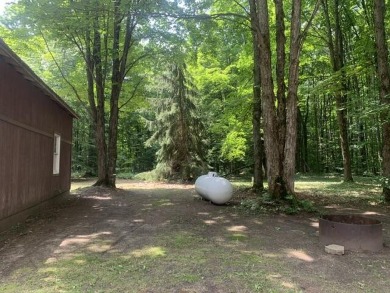 Generations have embraced the up-north lifestyle in this on Lakes of the North Deer Run Golf Course in Michigan - for sale on GolfHomes.com, golf home, golf lot