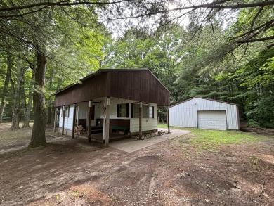 Generations have embraced the up-north lifestyle in this on Lakes of the North Deer Run Golf Course in Michigan - for sale on GolfHomes.com, golf home, golf lot