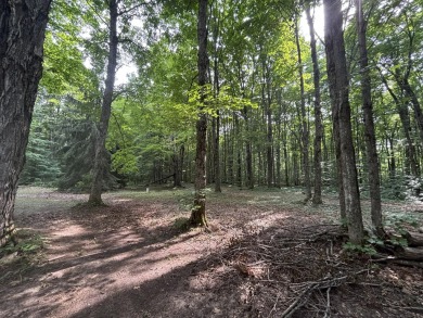 Generations have embraced the up-north lifestyle in this on Lakes of the North Deer Run Golf Course in Michigan - for sale on GolfHomes.com, golf home, golf lot