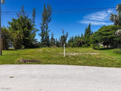 Paradise Awaits! Imagine waking up to expansive intersecting on Palmetto-Pine Country Club in Florida - for sale on GolfHomes.com, golf home, golf lot