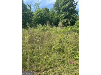 Extraordinary Lot offers beautiful views of Mountains, Lake and on The Orchard Golf and Country Club in Georgia - for sale on GolfHomes.com, golf home, golf lot