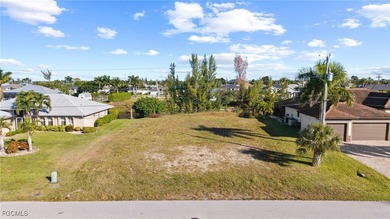 BUILD a custom waterfront pool Home on this oversized Gulf on Royal Tee Country Club in Florida - for sale on GolfHomes.com, golf home, golf lot