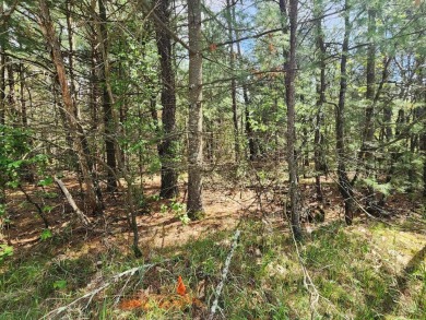 Build your dream home on this beautiful half-acre parcel located on Northern Bay Golf Resort and Marina in Wisconsin - for sale on GolfHomes.com, golf home, golf lot