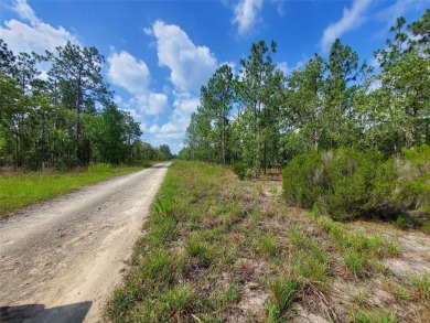WILLISTON HIGHLANDS GOLF & COUNTRY CLUB ESTATES BUILDING LOT! on Williston Highlands Golf and Country Club in Florida - for sale on GolfHomes.com, golf home, golf lot