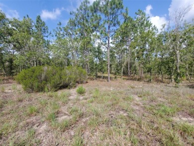 WILLISTON HIGHLANDS GOLF & COUNTRY CLUB ESTATES BUILDING LOT! on Williston Highlands Golf and Country Club in Florida - for sale on GolfHomes.com, golf home, golf lot