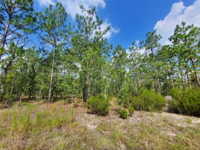 WILLISTON HIGHLANDS GOLF & COUNTRY CLUB ESTATES BUILDING LOT! on Williston Highlands Golf and Country Club in Florida - for sale on GolfHomes.com, golf home, golf lot