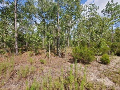 WILLISTON HIGHLANDS GOLF & COUNTRY CLUB ESTATES BUILDING LOT! on Williston Highlands Golf and Country Club in Florida - for sale on GolfHomes.com, golf home, golf lot