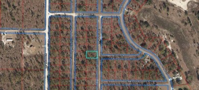WILLISTON HIGHLANDS GOLF & COUNTRY CLUB ESTATES BUILDING LOT! on Williston Highlands Golf and Country Club in Florida - for sale on GolfHomes.com, golf home, golf lot